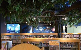 洛县图书馆提供网络学习虚拟方案