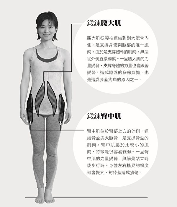 腰大肌和臀中肌，是保护膝关节的两大重要肌肉。（原水文化提供）