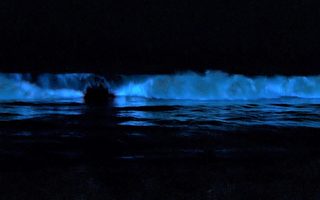 圣塔克鲁兹海浪在夜间闪烁着蓝光