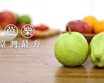 想念臺灣最夯水果「芭樂」嗎？快來「2020 臺灣蔬果節」解鄉愁！