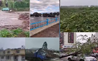【视频】受台风影响 东北狂风骤雨 嫩江现洪水