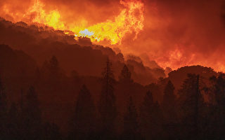 5大因素导致加州2020野火史无前例