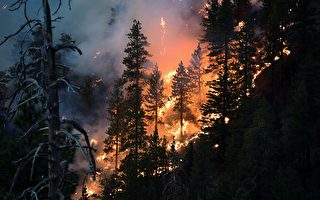 组图：美国加州野火蔓延 逾6400座建筑被毁