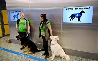 张林：芬兰机场用侦测犬测试中共病毒