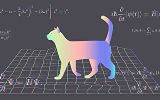 量子計算新進展：薛定諤糾錯貓