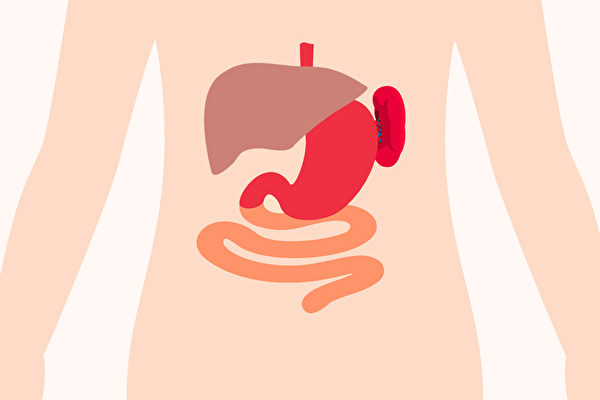 脾胃虚百病生，养脾胃是疾病调理的关键。怎样判断脾胃好不好？(Shutterstock)