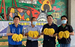 支持农民 企业采购香蕉 供学校营养午餐