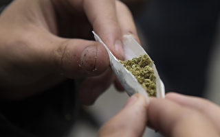 利益團體砸錢 力推新澤西大麻合法化
