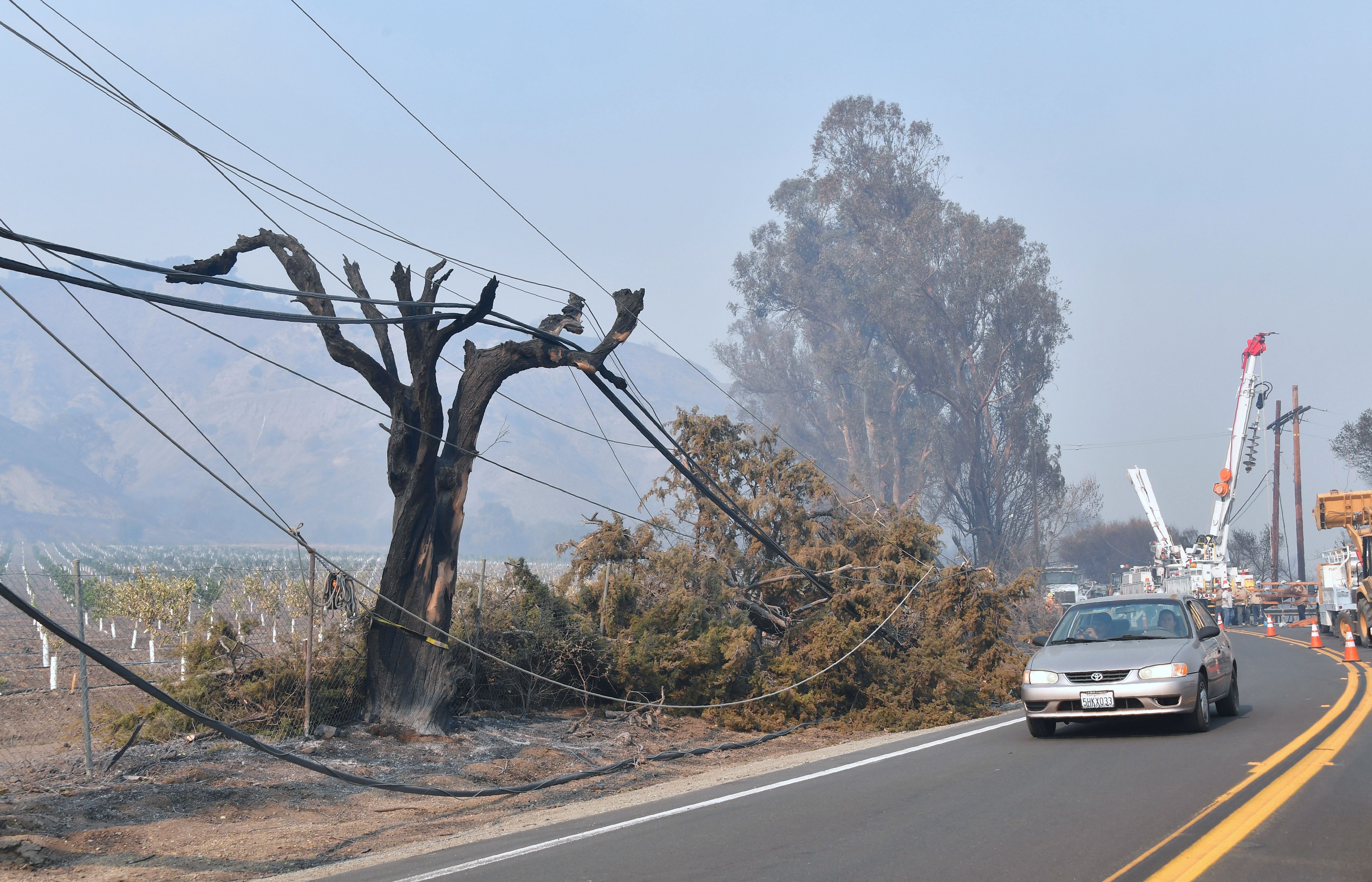 南加受強風山火侵襲 數萬用戶被強制停電