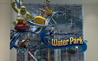 美国梦购物娱乐中心重新开放 水上乐园限25%容量