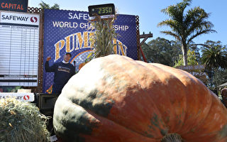 美國園藝師種出超1噸重巨型南瓜 大賽奪冠