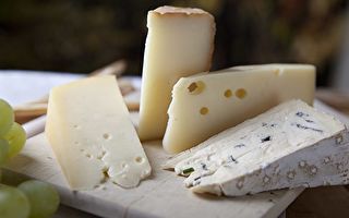 研究發現：奶酪的臭味是微生物在對話