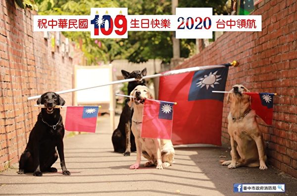 台中市政府消防局搜救犬大隊的搜救犬揮舞國旗，參加雙十國慶的升旗典禮。（台中市政府消防局）