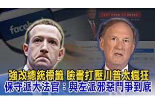 【西岸观察】总统变政治候选人 脸书太疯狂