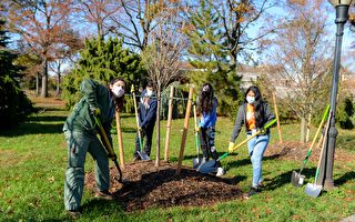 获TD银行捐2万元 皇后区植物园与高中生合作种树