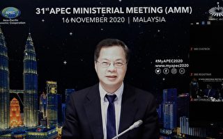 APEC双部长会议落幕  台国发会：愿助亚太伙伴抗疫