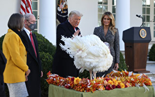【重播】川普和夫人舉行感恩節火雞赦免儀式