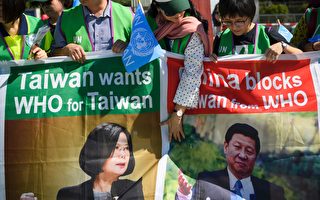 尽管支持者众 但台湾未能参与世卫大会