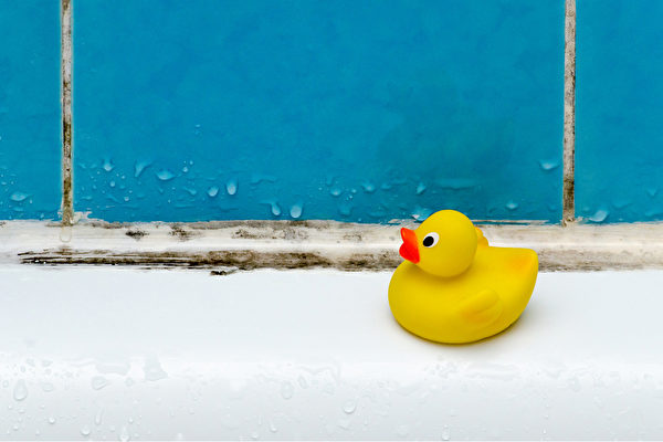 杜絕濕氣的來源，才能預防黴菌再度產生。(Shutterstock)