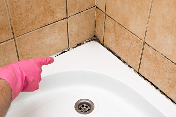 霉菌喜欢温暖潮湿的地方，因此浴室、厨房都容易长霉。(Shutterstock)