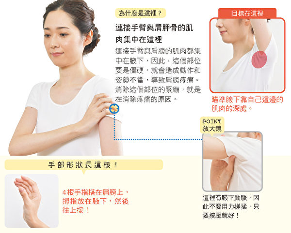 連接手臂與肩膀的肌肉都集中在腋下，腋窩要是僵硬，會導致肩膀疼痛。（方言文化提供）