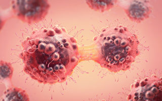 台研發全球首株抗體 可直接殺死癌細胞