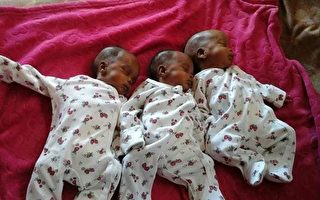 曾被医生警告无法幸存 南非三胞胎现已5岁