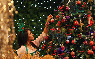 你購物清單上的聖誕樹已經賣光了！