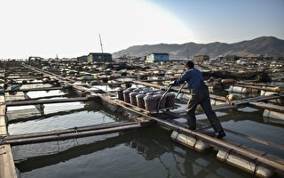 美政府报告指中国渔业人口贩卖最严重
