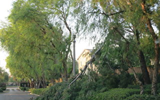 聖安娜風再起 逾1.4萬SCE用戶被斷電