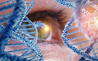 基因療法治療遺傳性失明