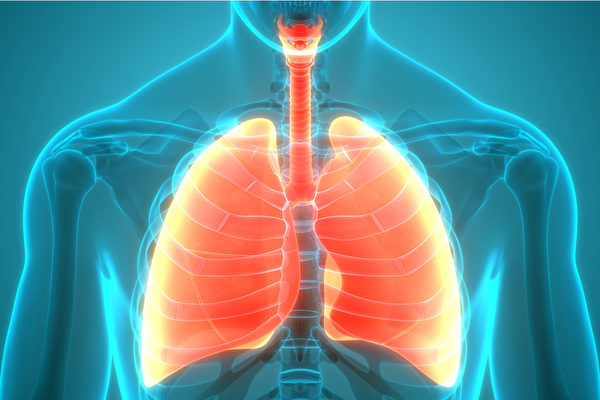 特发性肺纤维化如何治疗？哥大专家谈3种选项