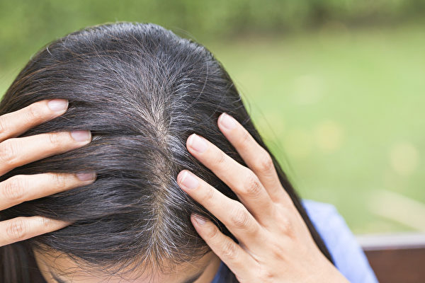长白发的原因不一定是老化或遗传，也可能是疾病警讯。(Shutterstock)