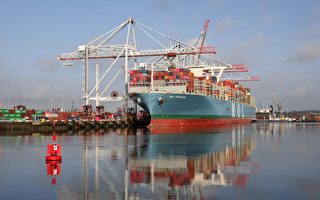 全球海运需求增 费率去年增加50%
