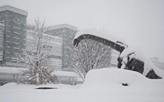 日本北陆东北大雪酿灾 致11死数百人受伤