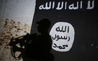 伊拉克总理宣布ISIS二号头目被击毙