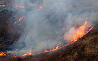 研究：山火的降溫效應大於氣候模型預測