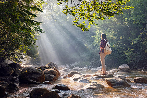 森林浴有抗癌、紓壓、提升免疫力等好處。(Shutterstock)