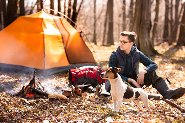 露營,狗,Shutterstock,大自然