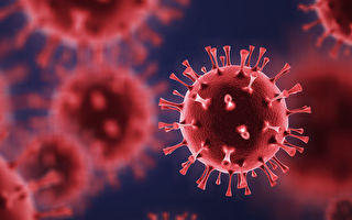 从英国、南非到日本发现的巴西变种，新冠病毒越变越多、越变越严重。(Shutterstock)