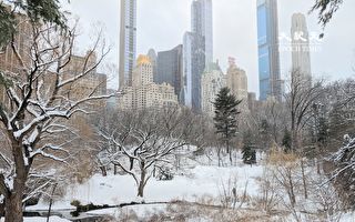 紐約市今起連續10天降溫 下週末迎極寒天氣