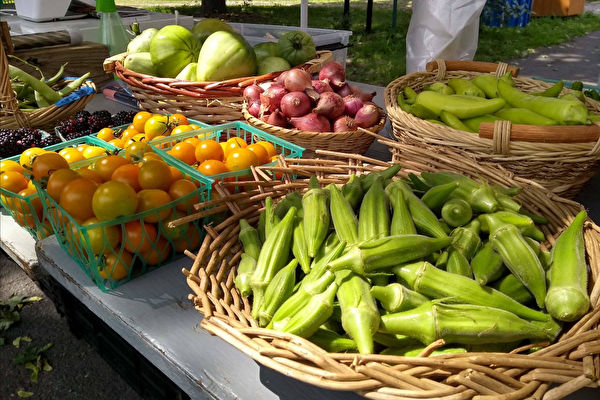 皇后區農場博物館將種新品種蔬果