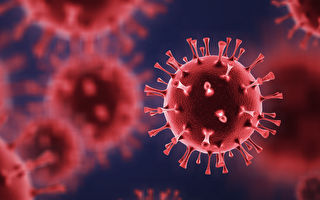 研究：南非變種病毒可能降低輝瑞疫苗效果