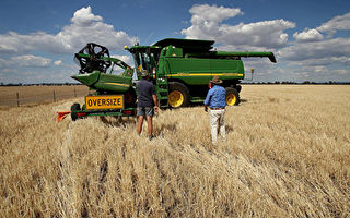 中共报复性关税影响有限 澳洲大麦出口增
