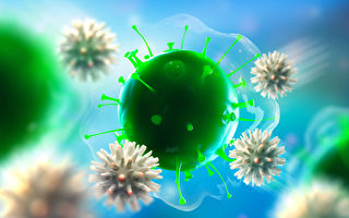 疫苗之所以能夠對抗新冠病毒，是依靠人體自身的免疫系統。(Shutterstock)