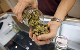 紐約反大麻聯盟阻止合法化進入州預算
