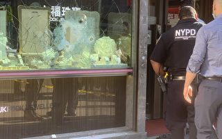 纽约法拉盛华人珠宝店 光天化日遭暴力抢劫
