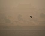 组图：沙尘暴肆虐多省 京城笼罩在黄色尘土中