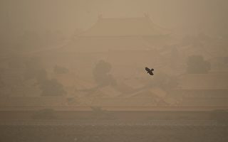 组图：沙尘暴肆虐多省 京城笼罩在黄色尘土中