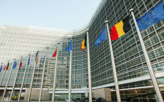 欧洲议会建议授予乌克兰欧盟候选国地位